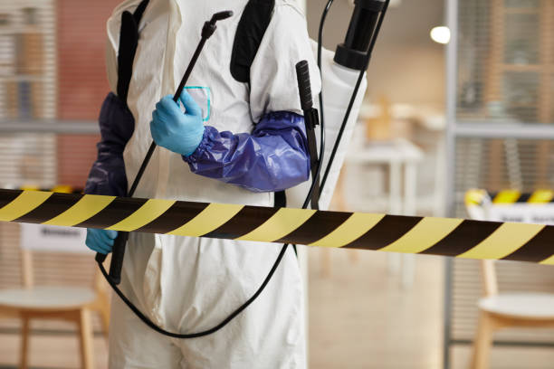 Professional Hoarding Cleanup technician working in Levittown, NY